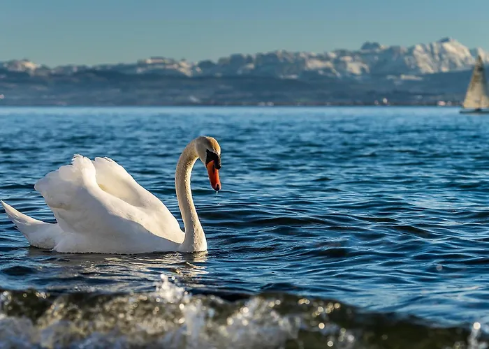 Am Kniebach * Immenstaad am Bodensee